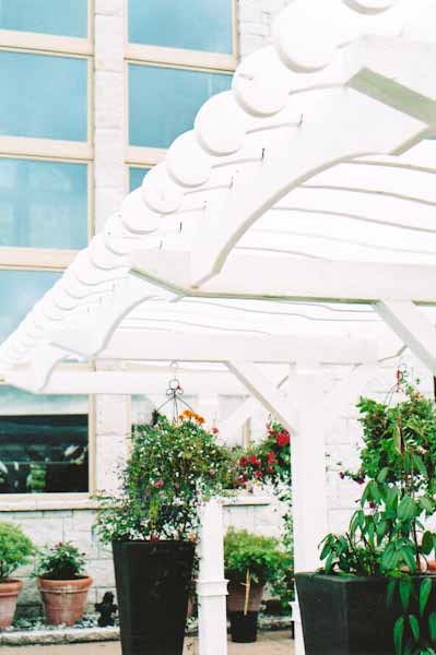 Custom arbor design 11