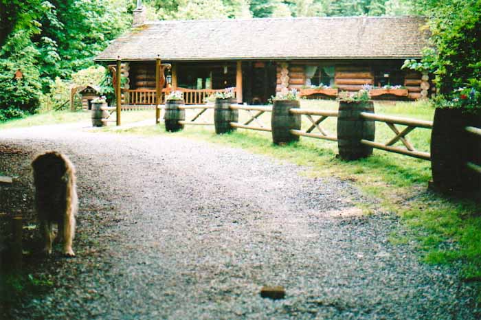 Custom wood fence design 11