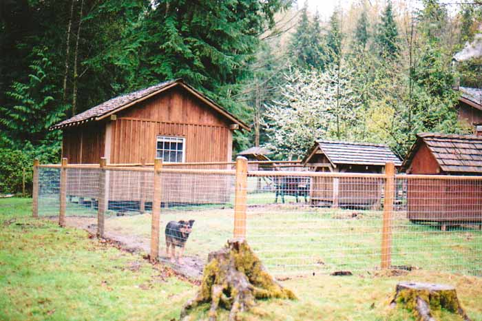 Custom wood fence design 12