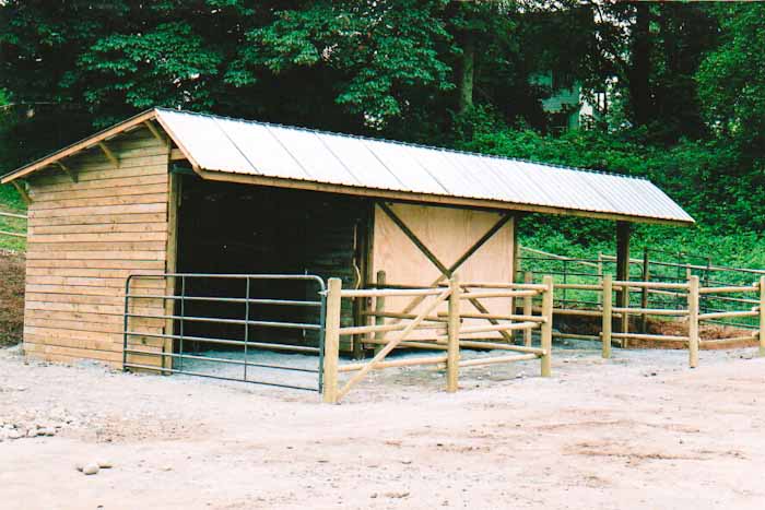 Rustic building design 11