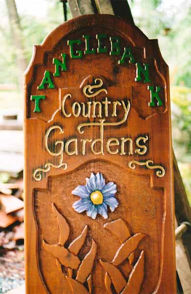 Custom sign design 4