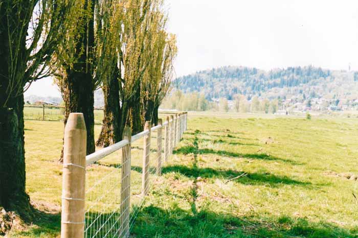 Gedak Fencing craftsmanship